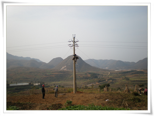 公司领导视察贵州分公司、办事处