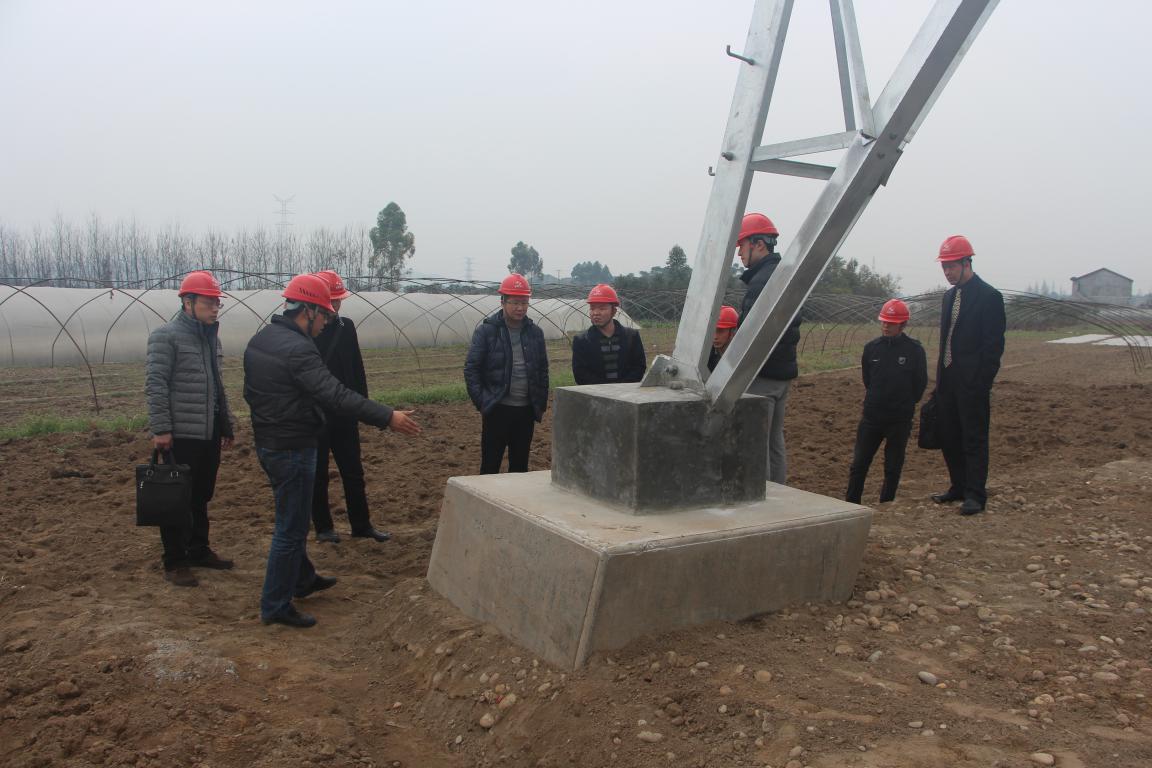 浙江送变电工程公司领导、专家莅临我 施工项目部参观考察