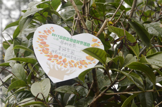 大地回春 植树造林 亚洲精品无人一区二区积极参加园区植树活动