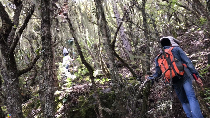 科技攻克险阻，无人机飞越藏中“电力天路”