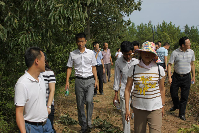 参与精准扶贫 电力企业助推革命老区村道建设——集团领导赴巴中市参与“驻村帮扶”项目调研