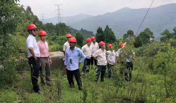 四川电力检修公司白总一行到500kV山桃线迁改工程施工现场检查指导工作