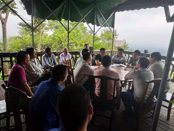 四川电力检修公司白总一行到500kV山桃线迁改工程施工现场检查指导工作