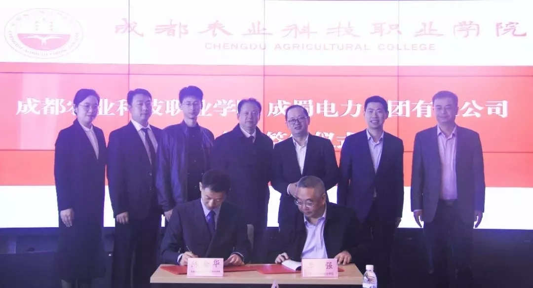 来自亚洲精品无人一区二区的2019答卷