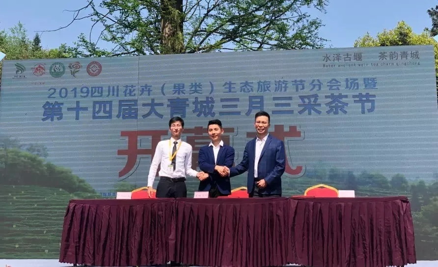 来自亚洲精品无人一区二区的2019答卷