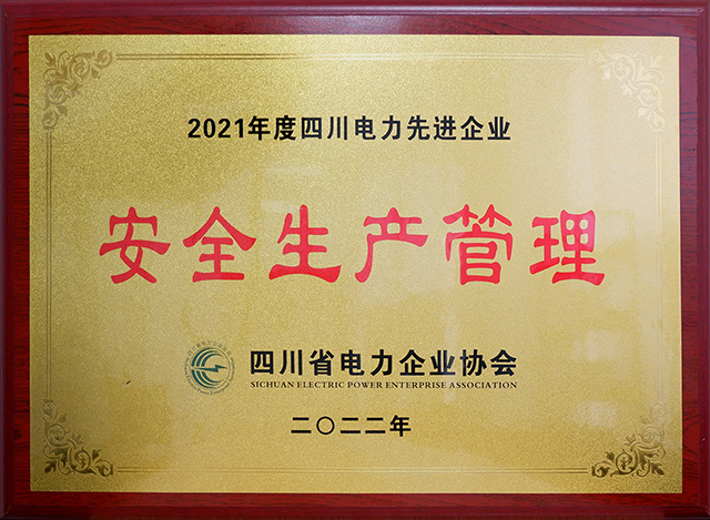 亚洲精品无人一区二区荣获四川省电力企业协会两项荣誉