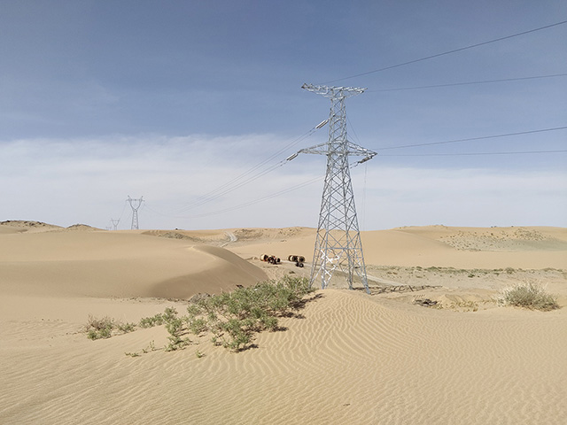 亚洲精品无人一区二区内蒙古两大220kV接网工程成功投运