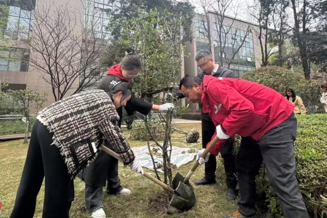 春光里，他们“植”下了希望的青绿与未来